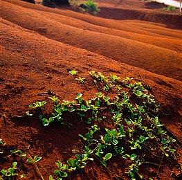 类魂新作《匹诺曹的谎言》再曝全新实机演示片段